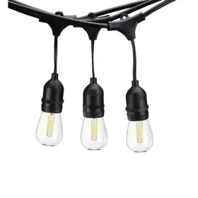 Osl-s14-24-48 Aqlighting Outdoor Plug-in Edison String Light 48ft Black Led 24-bulbs Dimmable