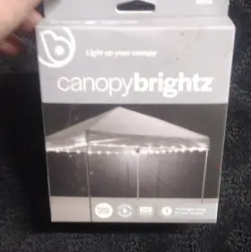 Zp-105 Brightz Ltd Canopybrightz Led Battery Powered String Lights 40ct White Outdoor