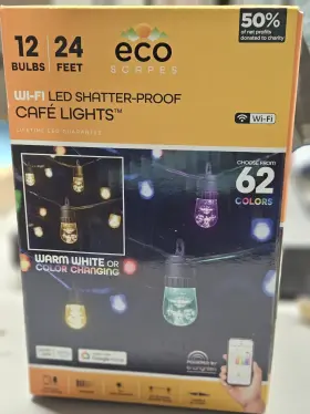 Eco Scapes 030818034843 Cafe Lights Classic Color Changing String 24ft Black Cord 12 Bulbs