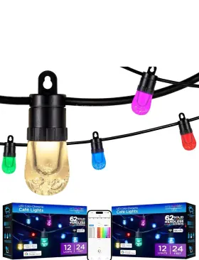 980208395 Ecoscapes Enbrighten Eco Scapes Led Shatter-proof Color Changing Lights 24ft Black 12 Bulbs