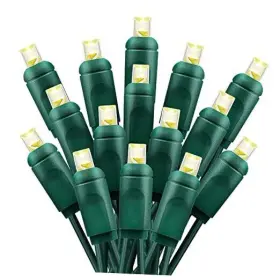 17ft-50-green Ever-rich Industrial Co Ltd Erin-50 17ft 50 Count Outdoor String Lights Ul Listed Wire Warm White