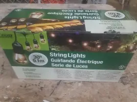 72041 Feit Electric 30 Foot Heavy-duty Weather Resistant Decorative Indoor An
