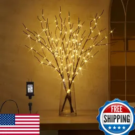 B091cdx764 Fudios Lighted Branch Plug In With Timer Willow Branches Fairy Lights For V