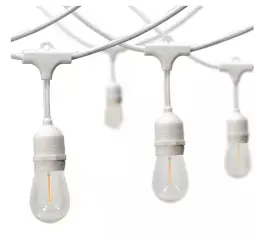 1006695151 Hampton Bay 12-light 24 Ft. Indoor/outdoor Plug-in Edison Bulb Led String White