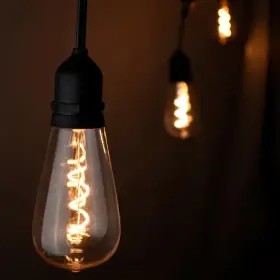 St64 Hampton Bay 313107415470 12-light 24 Ft. Outdoor/indoor Black Plug-in Novelty Bulb Led String Light