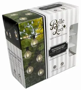 Blg4020cl Holiday Bright Lights Belle Luci G40 Outdoor String 20 Clear Bulbs Ft. -