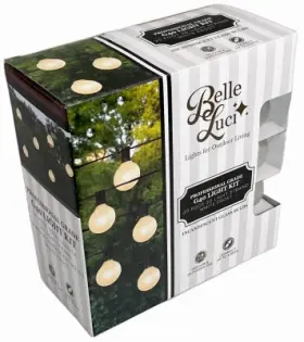 Blg4020clf Holiday Bright Lights Belle Luci G40 Outdoor String 20 White Frosted Bulbs Ft. -