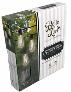 Blst4010cl Holiday Bright Lights Belle Luci St40 Edison-style Outdoor String 10 Clear Bulbs Ft. - Blst4