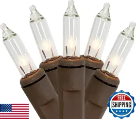 B0dhswsx2y Holiday Pride 20 Clear White Mini Incandescent String Lights Brown Wire Ul Indoor Prid