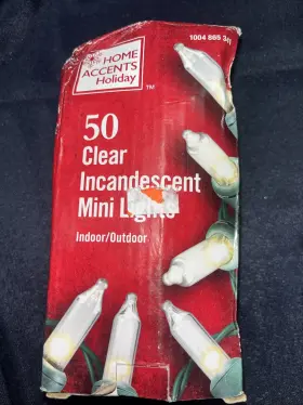 Home Accents Holiday 192072024821 Lights 50 Clear Incandescent Mini