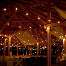 S14cle26susp Hometown Evolution Inc. 12 Socket Outdoor String Lights E26 Patio Bistro Commercial Heavy Duty 120v New