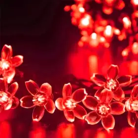 B0dpjswt2n Jacuxlss Cherry Blossom 100 Led 33ft 8-mode Plug-in Fairy String Lights