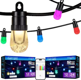 82764 Jasco Products Company Enbrighten Vibe Smart Color Changing String Lights 24ft Black Cord 12 Shatterp