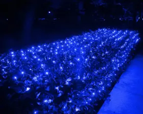 B0dz1shymz Joomer 2-pack 12ftx5ft 360 Led Christmas Net Lights Waterproof Blue/green Wire