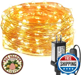 B0196h75ka Lighting Ever 33ft 100 Led Warm White Fairy String Lights Plug-in Indoor/outdoor