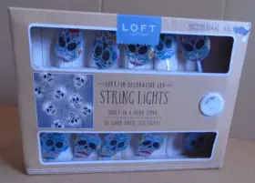 1002071 Loft Living Skull Head 10 Warm Led Lights Battery Operate