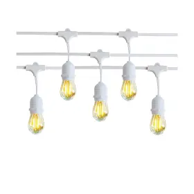 Niosta 708210979061 Outdoor String Lights Led 24ft White Cord 12 Hanging S14 Bulbs 2200k