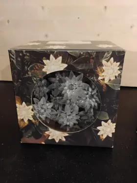 Smith & Hawken 840319070185 New And Paperwhite Lights Graceful Lighted Petals