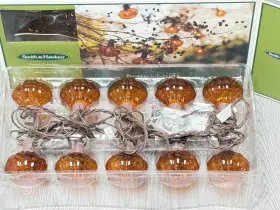 Smith & Hawkens 490840201673 New And Hawken Pumpkin String Lights - Very Hard To Find