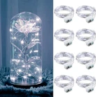 Zgwj Pack Fairy Lights Battery Operated, 7FT 20 Mini Led 8, White New. Price: $14.76.