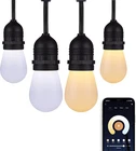 Starfish S11292 Wifi Smart Led Indoor/outdoor String Lights, Tunable White, 24 New. Price: $142.99.