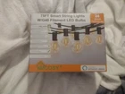 Xmcosy+ Smart Outdoor String Lights, 75FT G40 Globe Patio With 34 Dimm... Open. Price: $59.99.