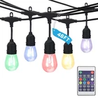24 48 Ft. Outdoor Plug-in Rgbw Integrated Led Edison String-light With S14 New. Price: $93.21.