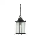 Savoy House 5-3455-BK Dunnmore 1-LIGHT 8"W Outdoor Pendant In Black Open. Price: $150.00.
