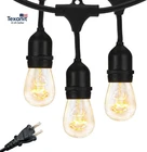 Ambience Incandescent Outdoor String Lights - Commercial Grade Waterproof Pa New. Price: $77.36.