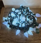 50 Led Bulb Christmas String Lights Strand See Description Used. Price: $18.00.