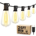 Larkvue 25FT Outdoor String Lights, Patio With 10+1 Led Dimmable Water... Used. Price: $17.14.