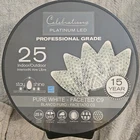Celebrations Platinum Led Indoor/outdoor Lights Pure White C9 New. Price: $22.99.