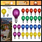 25 Pack G40 Led String Light Bulbs - 0.6W Multicolor Frosted E12 Vintage Patio New. Price: $25.19.