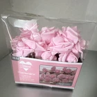 Seasonal Rose Led String Set 30 Pink 12.5FT Warm White Indoor New. Price: $9.53.