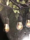 Hampton Bay 12-LIGHT 24 Ft Black Indoor/outdoor Incandescent Edison String Open. Price: $23.99.