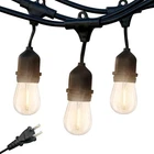 Braghtech Ambience Pro 15 48 Ft. Plug-in Led S14 Edison Bulb String-light New. Price: $54.00.