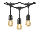 48 Ft Commercial-grade Vintage Style Filament Led Indoor/outdoor String Lights New. Price: $65.00.