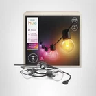 Philips Hue Festavia Globe Outdoor String Lights, Color 22FT,8 Bulbs, Black Open. Price: $149.99.