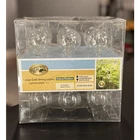 Hampton Bay 11FT 12-LIGHT G50 Clear Caf String Lights Indoor/outdoor New. Price: $18.00.