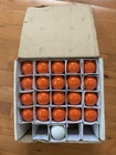 New Novelty Sun Lite Orange 120V / 11W String Lights, Halloween Open. Price: $29.99.