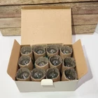 Pottery Barn Globe String Lights Ten W/2 Replacement Bulbs LKP9-10 Garden Party Open. Price: $22.49.