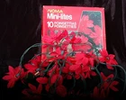 Silk Poinsettias Red Twinkle Lights 2 Sets 7' Long Noma, Vintage Used. Price: $29.75.