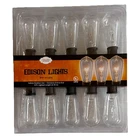 Stenna Holiday Edison String Light, 10 Clear Bulbs, 9 Ft, Indoor/outdoor New. Price: $25.00.