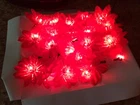 Nib Vintage Franks 20 Poinsettia String Lights The Box Red/gold FR95 Used. Price: $13.00.