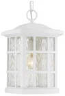 Quoizel Stonington 15" High Fresco Outdoor Hanging Light New. Price: $269.99.