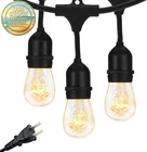 Ambience Pro 48 Ft Outdoor String Lights 15 Dimmable Edison Bulbs New. Price: $73.99.