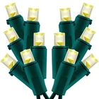 Warm White Wide Angle Christmas Lights, Pack Of Sets 25 Ft 100 Led Green Wi... New. Price: $47.69.
