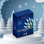 Celebrations Led Cool White-mini 100 Indoor/outdoor String Lights New. Price: $19.99.