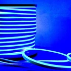330FT 110V Led Neon Rope Light Strip Waterproof Commercial Building Outdoor Lamp New. Price: $309.26.