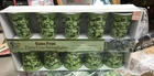 Dei 50137 Green Camo Print Party Cup String Lights, Set Of 10 Boxes New. Price: $69.99.